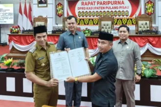 Dprd Pulang Pisau