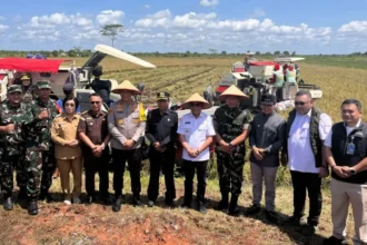 Panen Raya Serentak