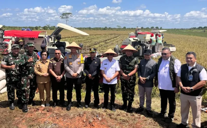 Panen Raya Serentak