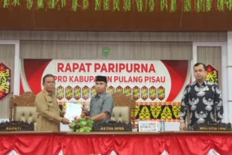 Rpjmd Pulang Pisau