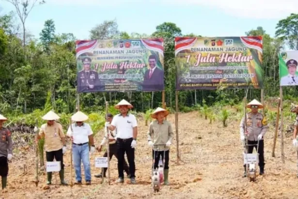 Tanam Jagung