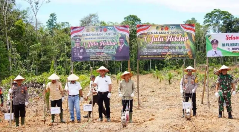 Tanam Jagung