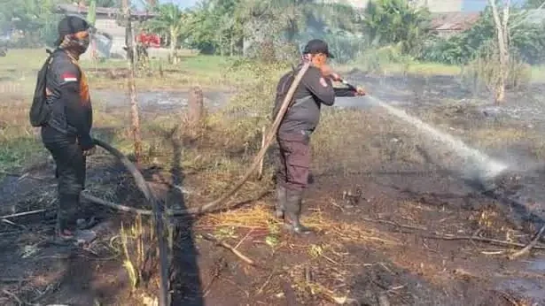 Img 20250513 Wa0007(1)