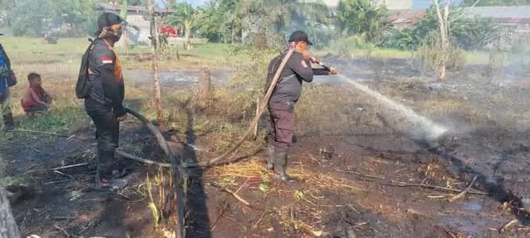 Img 20250513 Wa0007(1)