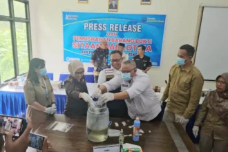 Bnnp Kalteng Pemusnahan Sabu Dan Ekstasi