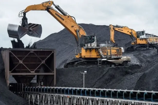 Bos Batu Bara Terkaya Di Indonesia