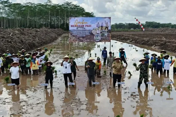 Cetak Sawah Rakyat Menanam Padi