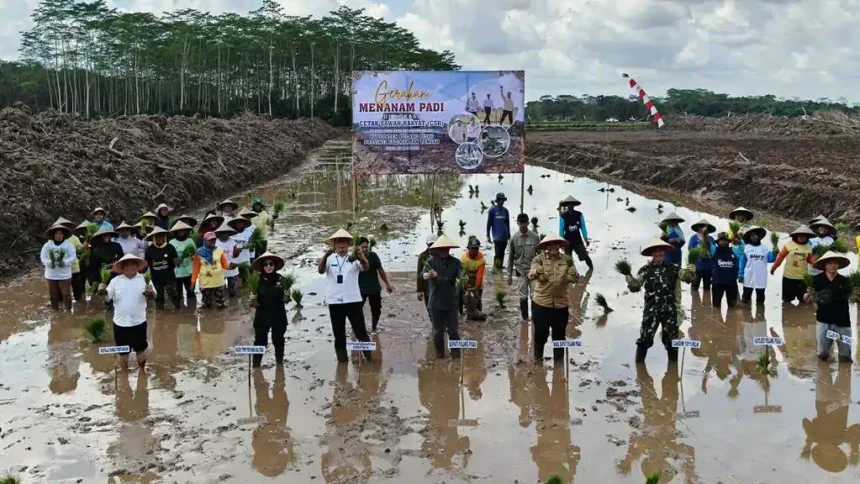 Cetak Sawah Rakyat Menanam Padi
