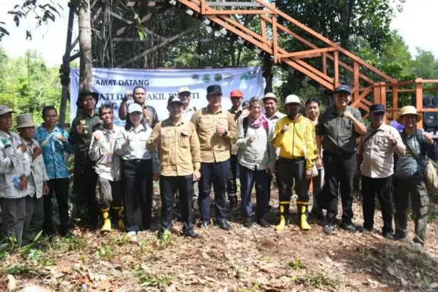 Hutan Lindung Gohong