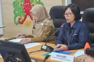Kepala Bps Kalteng Agnes