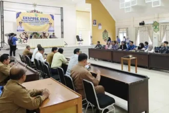 Model Bisnis Pertanian Pulang Pisau