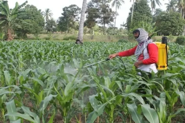 Nilai Tukar Petani Ntp Kalteng