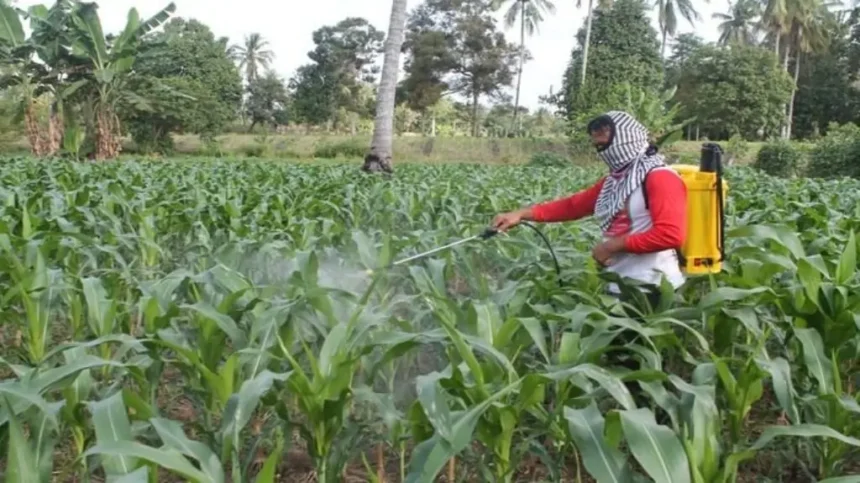 Nilai Tukar Petani Ntp Kalteng