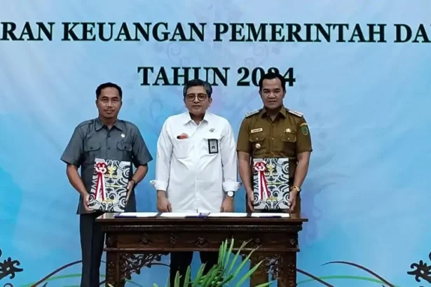 Opini Wtp Pemkab Pulpis