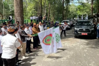 Pelepasliaran Orangutan Bosf