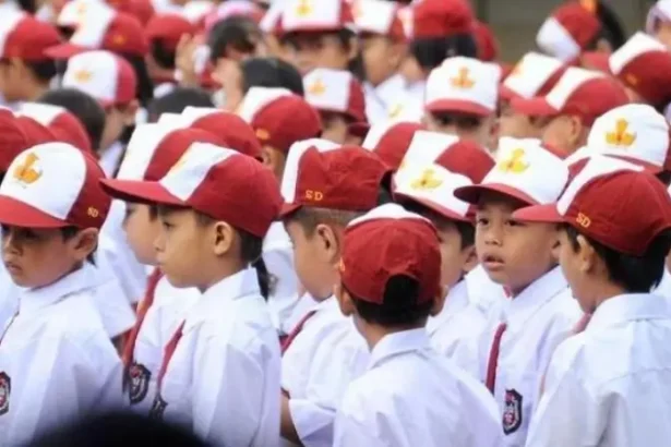 Pendidikan Dasar