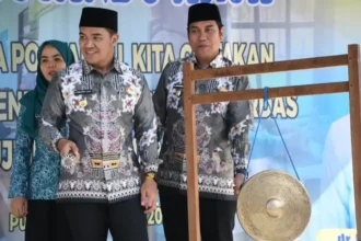 Posyandu Pulang Pisau