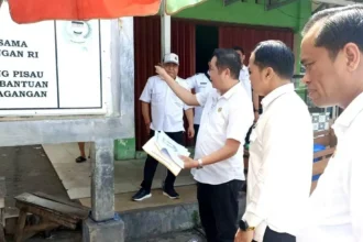 Tinjau Pasar Patanak Pulang Pisau