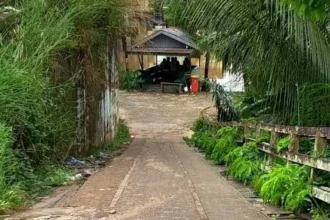 1204 Pelebaran Jalan (1)