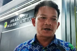 Ardianto (2)