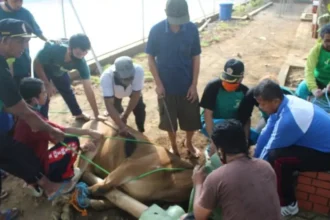 Amalan Dan Larangan Hari Tasyrik