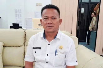 Ardianto
