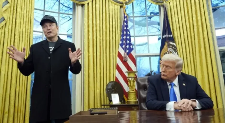 Elon Musk Dan Donald Trump