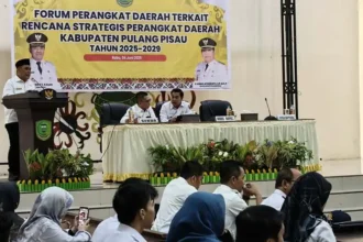 Kepala Bapperida Pulpis