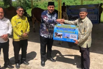 Sapi Bantuan Presiden