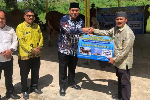 Sapi Bantuan Presiden