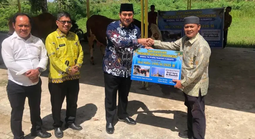 Sapi Bantuan Presiden