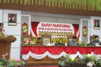 Wabup Pulpis