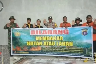 Img 20250720 Wa0022