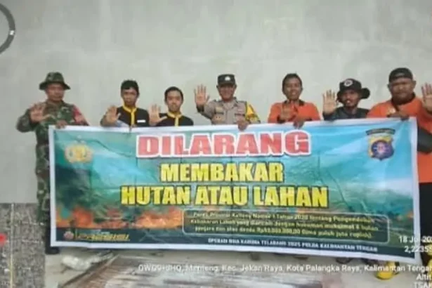 Img 20250720 Wa0022