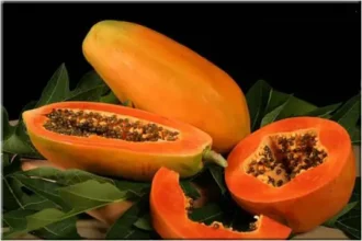 Pepaya Buah