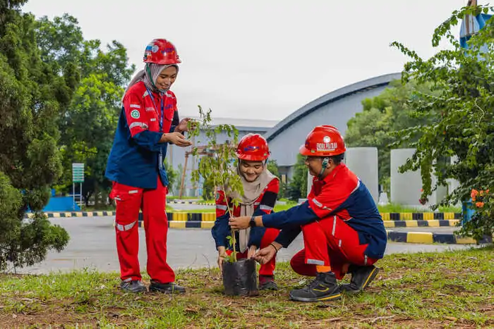 Wsbp Kembali Tanam 376 (1)