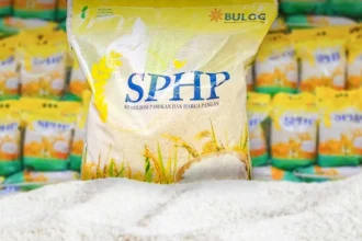 Beras Sphp