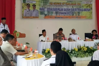 Optimalisasi Pad