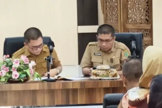 Realisasi Pad Pulpis