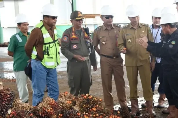 Tinjau Pabrik Sawit