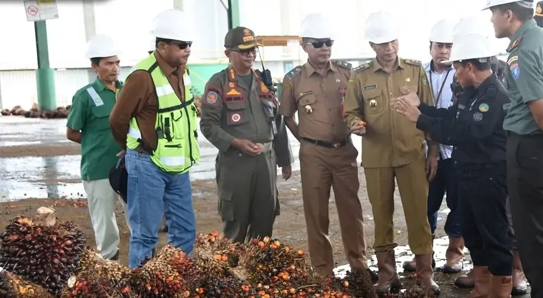 Tinjau Pabrik Sawit