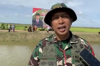 Tni Umtg Large