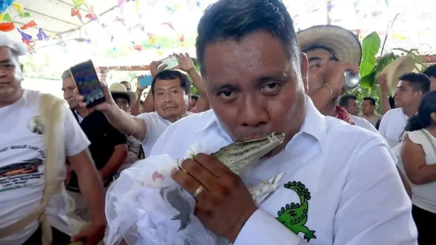 Wali Kota Nikahi Buaya