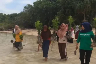 Perempuan Penjaga Pesisir