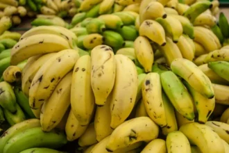 Buah Pisang12233