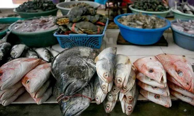 Ikan Laut