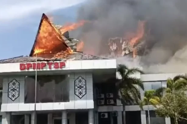 Kebakaran Dpmptsp