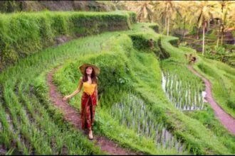 Bali Sun Tours Perkenalkan Portofolio Pengalaman 2025 (1)