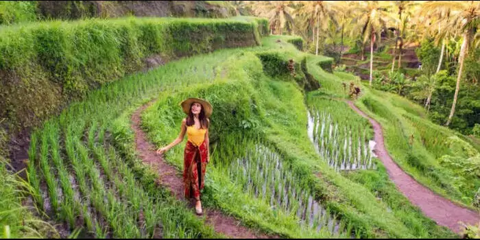 Bali Sun Tours Perkenalkan Portofolio Pengalaman 2025 (1)