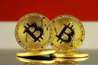 Indonesia Diam Diam Jadi Mesin Pertumbuhan Kripto Di Asia Pasifik, Nomor 2 Tertinggi!